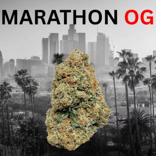 SUPPLY LA - Marathon OG | Top Shelf | Indoor | 28G | Ounce - 1