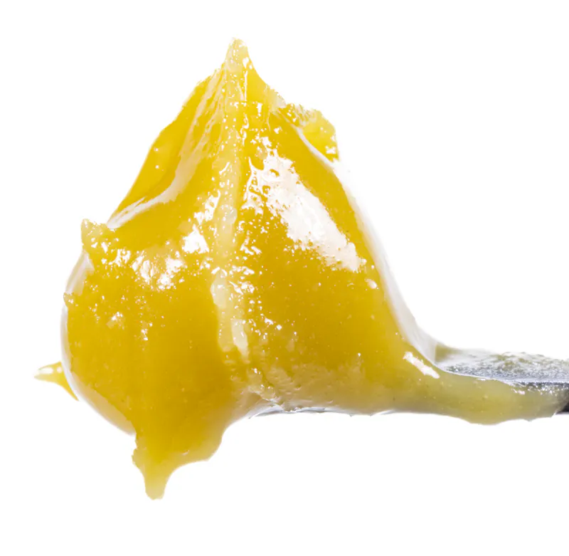 West Coast Cure Fatso - Live Rosin Cold Cure Badder - T4