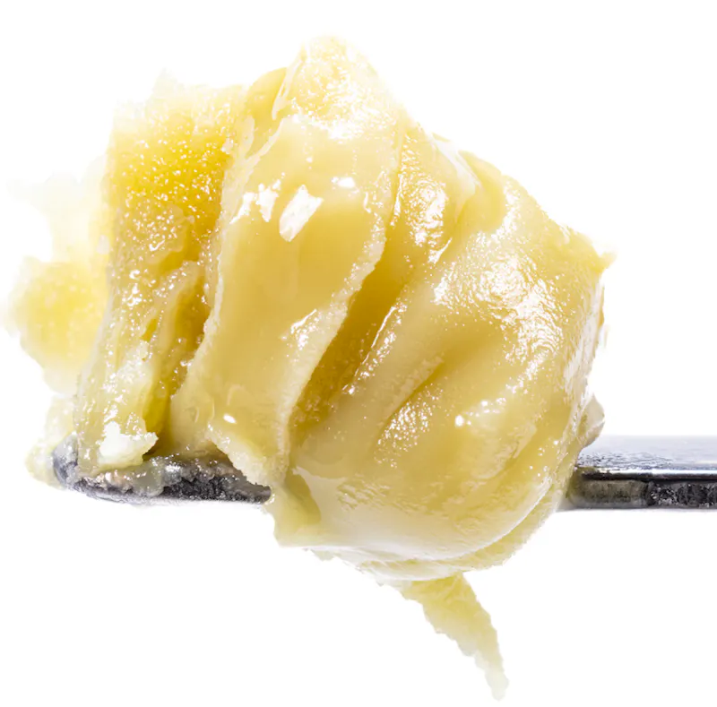 West Coast Cure Governmint Oasis - Live rosin Cold Cure Badder - T3