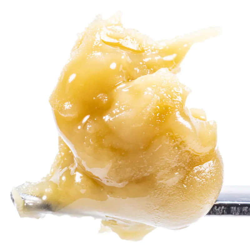 West Coast Cure Motorbreath x Banana Punch - Live Rosin Cold Cure Badder - T3