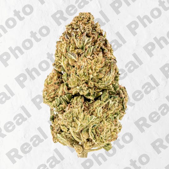 Frostiez - Cereal Milk (3.5g - 1/8oz) - PREMIUM FLOWER - Hybrid - 1