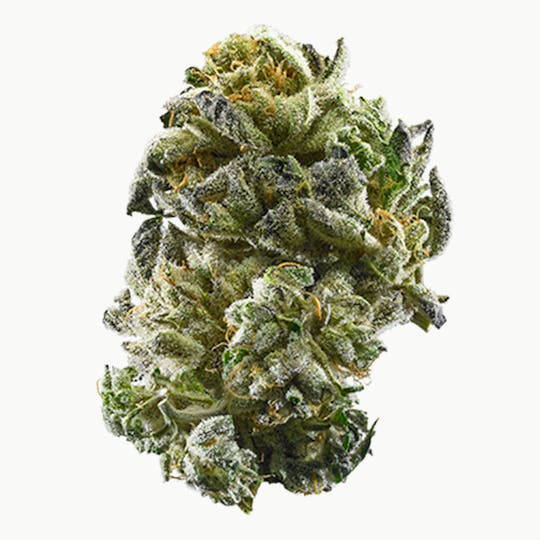 Remedies - GIRL SCOUT COOKIES - 1