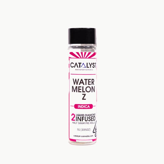 Catalyst - Catalyst - Watermelon Z Infused 2 pack 1g - 1
