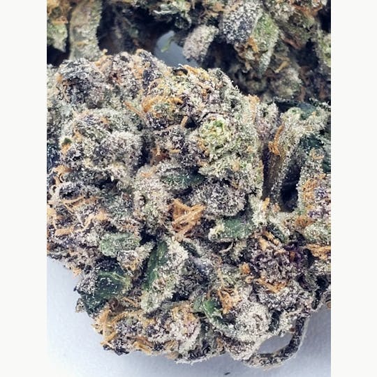 Bishop Boyz - Bishop Boyz Vanilla Ice 7g - 1