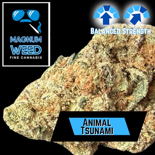 Magnum Weed - Magnum Animal Tsunami - 1