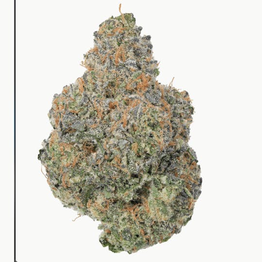 Allure - Super Silver Haze | Exotic Indoor | Sativa 35.76% THC - 1