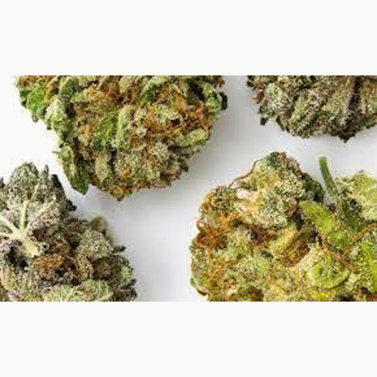 Magic Brothers - Fruit Salad Mix (Hybrid) - Premium Flower - 1/8oz. 3.5g. - 1