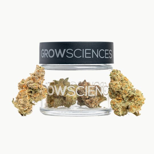 Grow Sciences - Zktz Cubed Flower Jar (1/8th) - 1