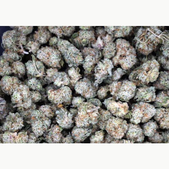LA Native - Monster Cookies - INDOOR SMALLS - 1