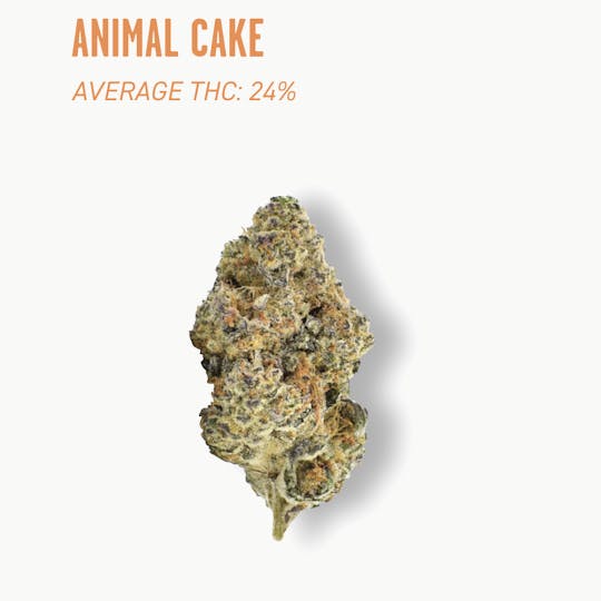 Ozone - Ozone | Animal Cake | Flower | 3.5G - 1