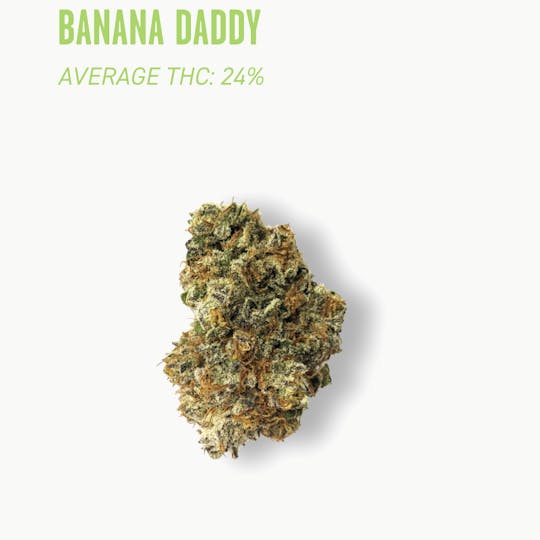 Ozone - Ozone | Banana Daddy | Flower | 3.5G - 1