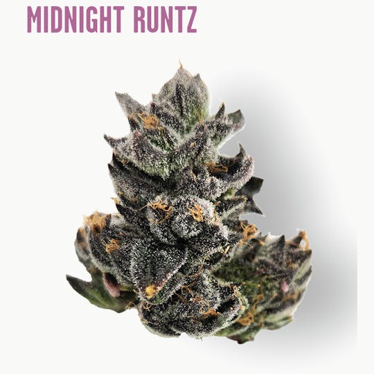 Ozone - Ozone | Midnight Runtz | Flower | 3.5G - 1