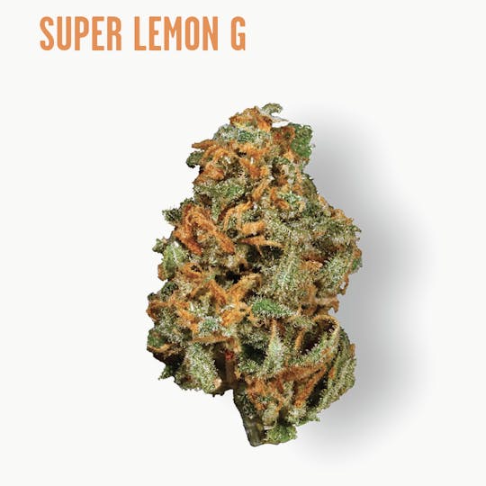 Ozone - Ozone | Super Lemon G | Flower | 3.5G - 1