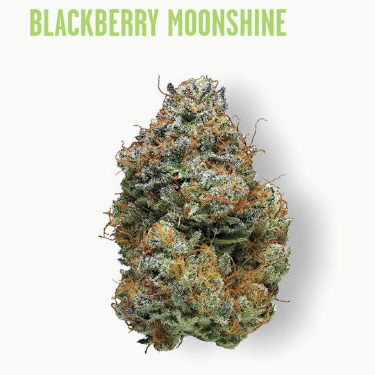 Ozone - Ozone | Blackberry Moonshine | Flower | 7G - 1