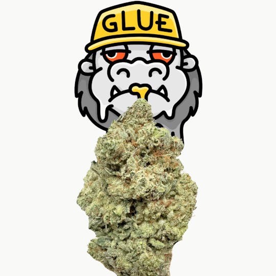 SUPPLY LA - Original Gorilla Glue | Top Shelf | Indoor | 14G | Half Ounce - 1