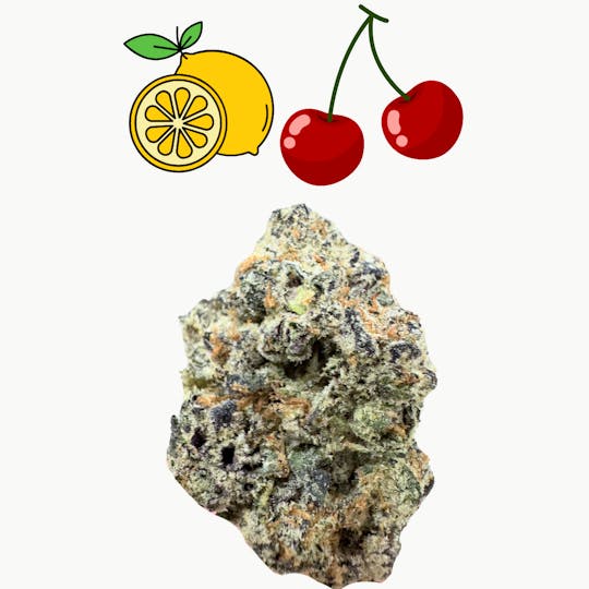 SUPPLY LA - Lemon Cherry Gelato đ đ đ§ | Top Shelf | Indoor | 7G | Quarter - 1