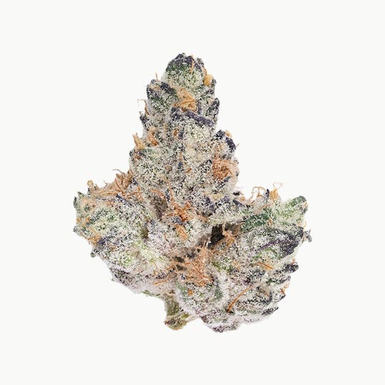 Green Truck - Green Truck - Truck Club Half Ounce: Garlic Breath - 1