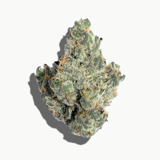 Magic Brothers - Obama Runtz (Hybrid) - Premium Flower - 1oz. 28g. - 1
