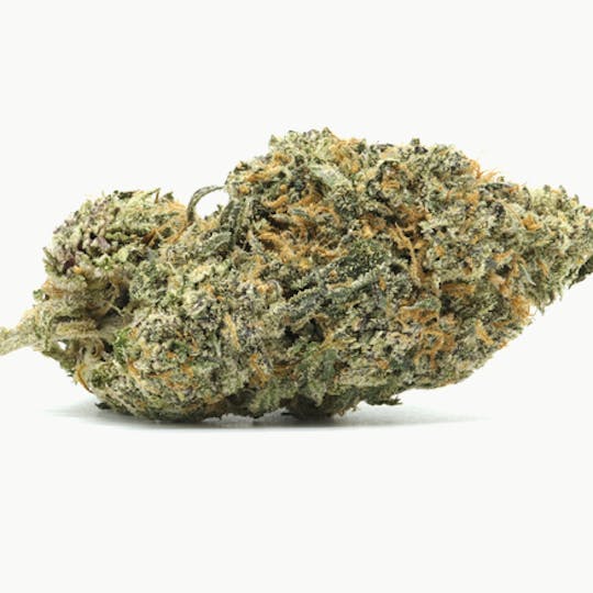Magic Brothers - White Runtz (Hybrid) - Premium Flower - 1oz. 28g. - 1