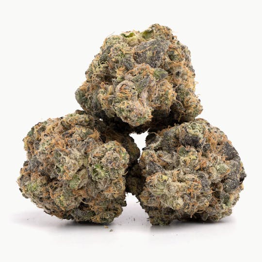 Magic Brothers - Lemon Cherry Gelato - Top Shelf Flower - 1/8oz 3.5g. - 1