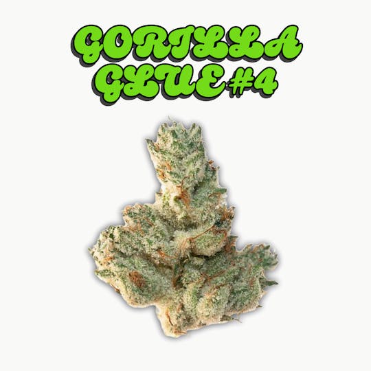 Kings - GORILLA GLUE #4 - 28G - INDOOR FLOWER - HYBRID - 1