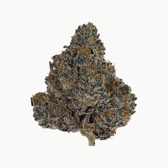 Green Truck - Green Truck - Truck Club Half Ounce: Dracula - 1