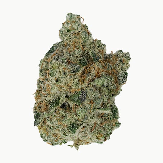 Green Truck - Green Truck - Truck Club Half Ounce: Snake Eyes - 1
