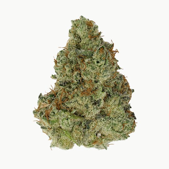 Green Truck - Green Truck - Truck Club Half Ounce: Chocolate Pie - 1