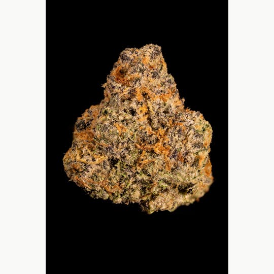 Stackhouse NV - Lemon Bubblegum Flower - 1