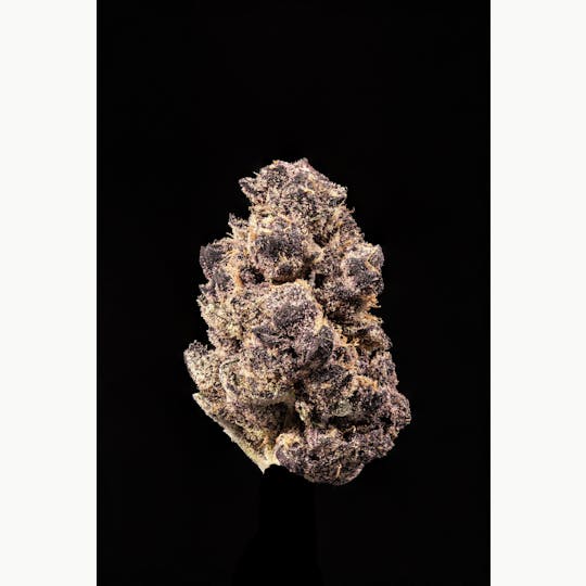 Stackhouse NV - Rainbow Fruits Flower - 1