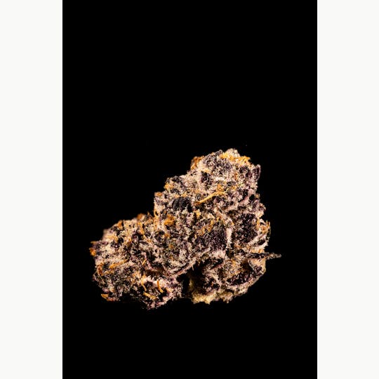 Stackhouse NV - High Fructose Corn Syrup Flower - 1