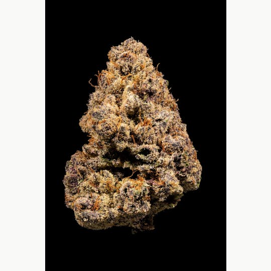 Stackhouse NV - Blackout Cherries Flower - 1