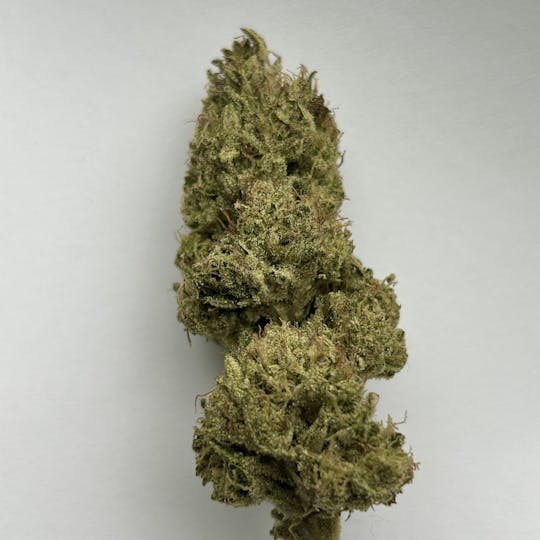 Daedalus Craft Cannabis - $100 Ounce of the Day - Banana Tempura - 1