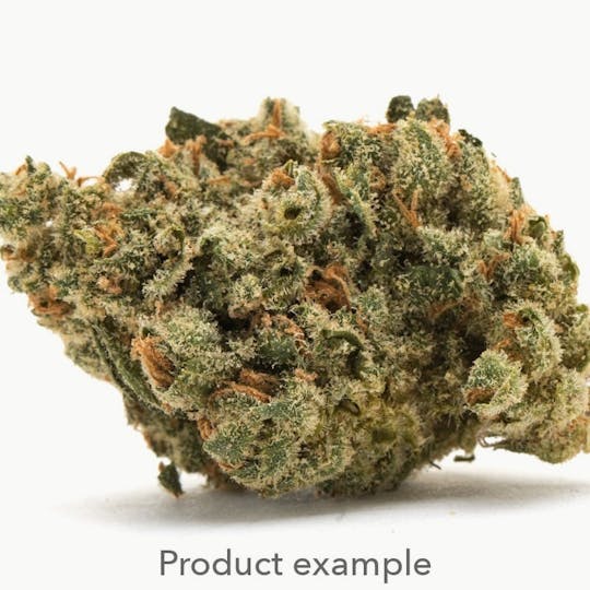 MJ Verdant - MJ Verdant - Mango Mintality 3.5g - 1