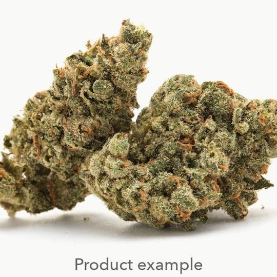 MJ Verdant - MJ Verdant - Rabbit Hole 14g - 1