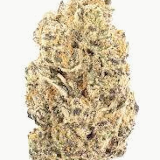 MJ Verdant - MJ Verdant - Molotov Cocktail 28g - 1