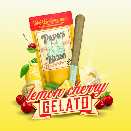 Papa's Herb - Lemon Cherry Gelato (1g) Infused Preroll - 1