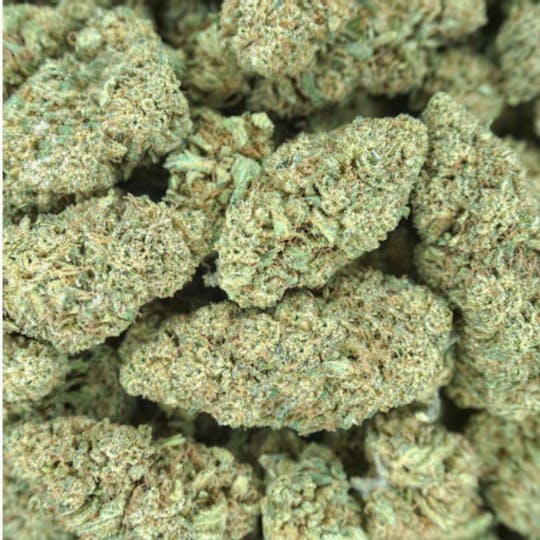 Allure - Fruit Salad| Hybrid 34.78% THC - 1