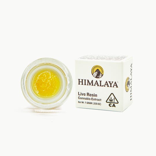 HIMALAYA - 14 Bombers - Terp Sauce Concentrate - 1G - 1