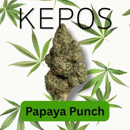 Nu Cannabis Brand - Kepos - Papaya Punch 3.5g - PREMIUM FLOWERS - 1