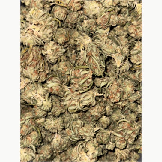 KING WEEDY CANNABIS - Kings Thing - 1