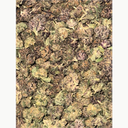 KING WEEDY CANNABIS - Red Velvet Runtz - 1