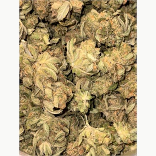 KING WEEDY CANNABIS - Gelato Exting - 1