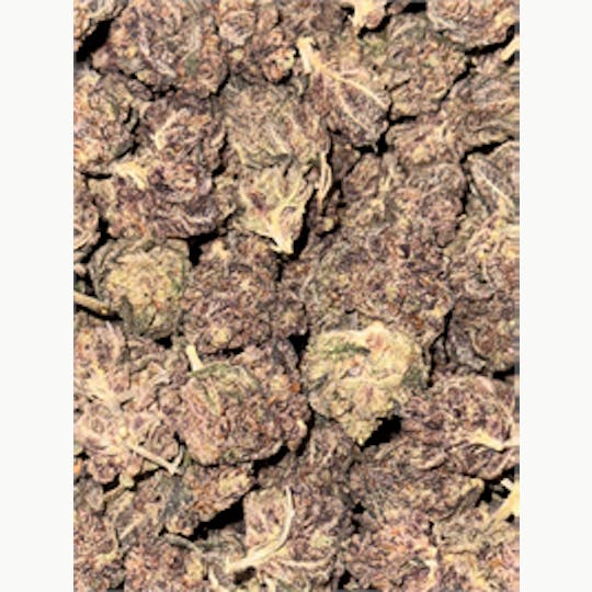 KING WEEDY CANNABIS - Black Phoenix - 1