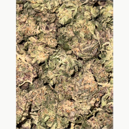 KING WEEDY CANNABIS - Raspberry Boogie x Sherbet Ripple - 1