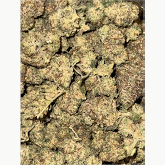 KING WEEDY CANNABIS - Gee Money Gee - 1