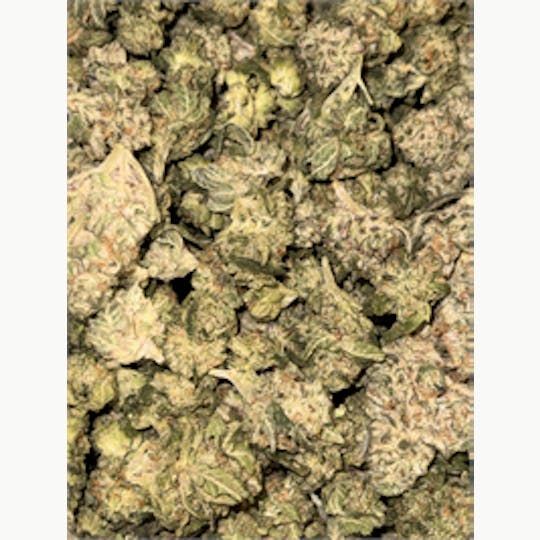 KING WEEDY CANNABIS - Lemon Haze OG - 1