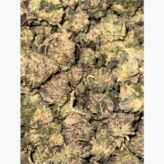 KING WEEDY CANNABIS - Biscotti - 1