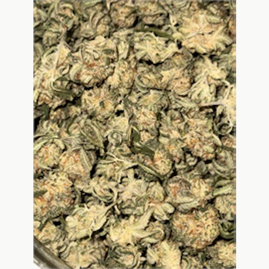 KING WEEDY CANNABIS - Purple Chocolate - 1