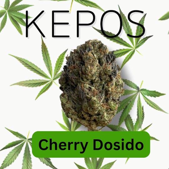 Nu Cannabis Brand - Kepos - Cherry Dosido 3.5g - PREMIUM FLOWERS - 1